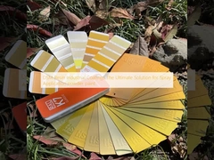 DSM Revestimientos industriales de resina La solución definitiva para la aplicación de pintura en polvo