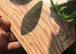El grano de madera diseña la pintura de la capa del polvo del poliéster para los perfiles de aluminio